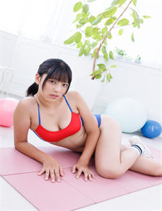 义警歼霸记
